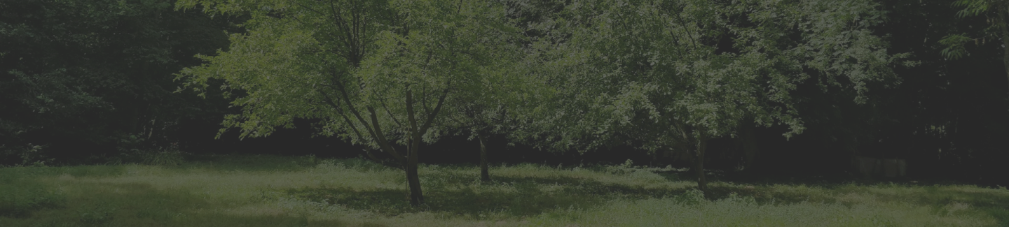 plant trees banner